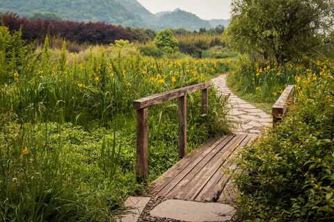 Foto: pixabay Foto: pixabay